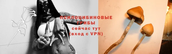 ALPHA PVP Беломорск